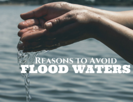Reasons to Avoid Flood Waters