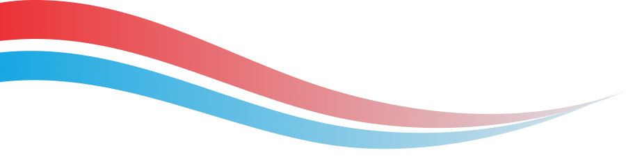 Decorative red-to-blue curved wave graphic used as a design accent in the header.